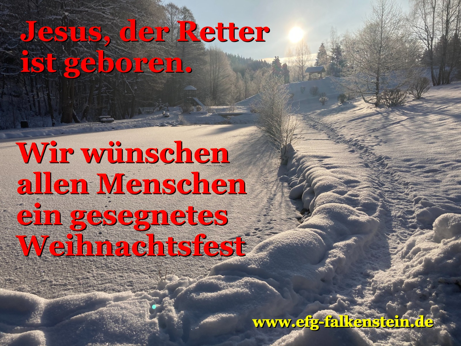 Gesegnetes Weihnachtsfest 2022